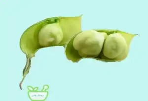 نخود با پروتئین بالا، گزینه‌ای عالی برای تقویت عضلات 