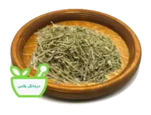 گیاه قیطران خشک‌شده آماده برای مصرف دارویی