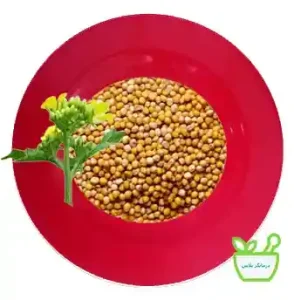 خردل دارای خواص آنتیاکسیدان از تشکیل سلولهای سرطانی جلوگیری میکنند.