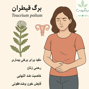 درمان بیماری زنان با برگ قیطران