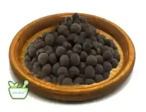 خواص گیاه مرگ ماهی