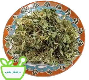 پرسیاوش ضد عفونی کننده