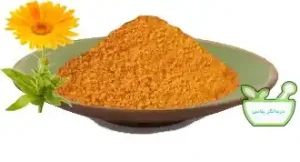 گل همیشه بهار با خواص ضدالتهابی و ترمیم‌کنندگی پوست