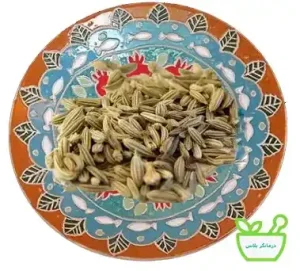 عرق رازیانه افزایش دهنده میزان شیر مادران