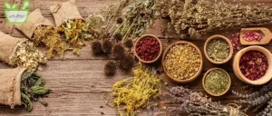 عرق چهل گیاه دارای خواص آنتی‌اکسیدانی