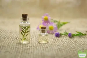 عرق کاسنی تقویت کننده و محافظت از کبد