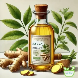 عرق زنجبیل دارای خواص آنتی‌اکسیدانی و ضد میکروبی
