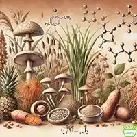 پلی ساکارید تقویت کننده سیستم ایمنی بدن