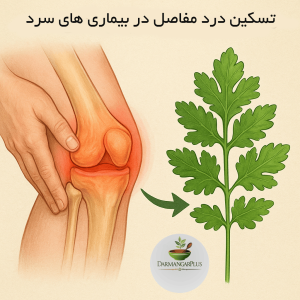 تسکین بیماری مفصلی با برگ قیطران