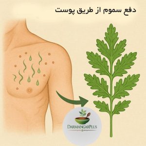 دفع سموم از طریق پوست