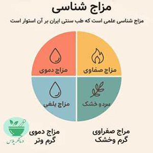 با تست انلاین مزاج شناسی مزاج خود را شناسایی کنید