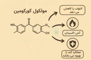 تصویر مولکول کورکومین و نقش آن در بهبود کبد چرب